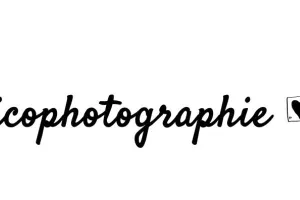 Musicophotographie, édition #5