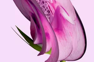 Visite guidée Métamorphoses du vivant !