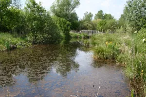 Sortie nature à Vesles-et-Caumont : "Découverte de la réserve"