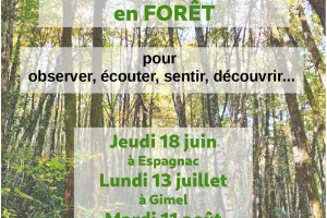 Balades - Partages en forêt