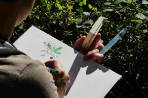 Initiation aquarelle au printemps