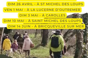 Balade plantes sauvages comestibles