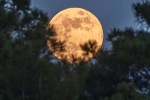 Observation du ciel nocturne