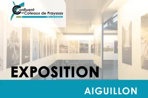 Exposition Lumières Françaises : de la cour de Versailles à Aiguillon