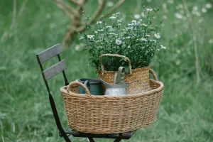 Troc jardin au Château de Mursay à Echiré