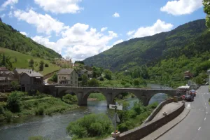 VISITE GUIDÉE LES VIGNES