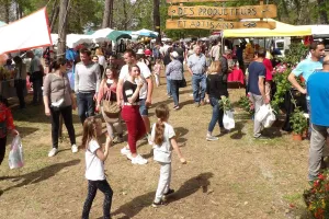 Foire du 1er Mai