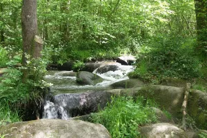 Des cascades pleines de vie