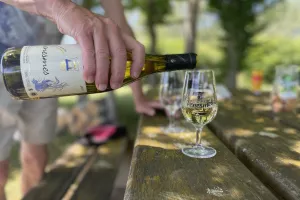 Portes Ouvertes Cave des vin de Venesmes