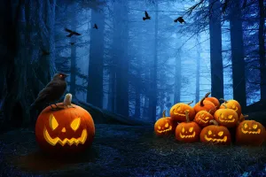 Halloween à l'Accrobranche - Étang de la Vallée