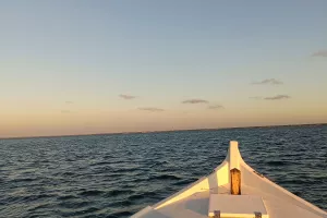 Les ports de La Teste en pinasse électrique