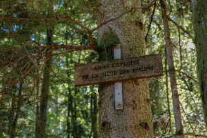 Sentiers Plaisir : Framont-Grandfontaine, la ruée vers le fer