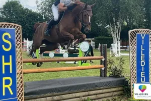 Concours hippique