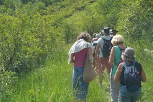 Sortie Botanique ENS Vuillafans-châteauvieux les fossés