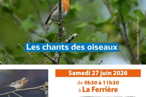 Les chants d’oiseaux