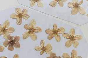 Atelier créatif avec fleurs séchées