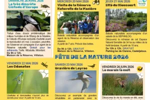 Fête de la Nature - Les Odonates