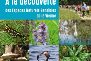 Vieux arbres et biodiversité