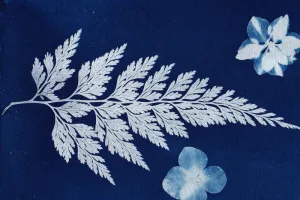 Visite atelier : Révèle la nature !