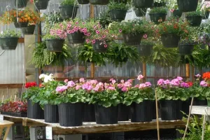 Jardin partage