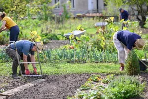 Atelier "Au jardin"