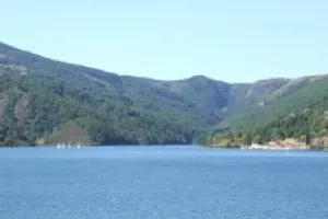 FESTILAC