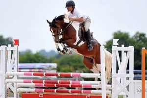 Concours Saut d'Obstacles professionnels