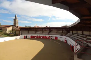 Visite des arènes de Vielle-Tursan