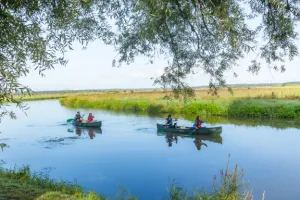 Echappée immersive : Balade bucolique en canoë