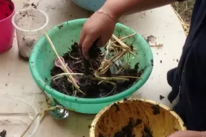 Eveil à la nature spécial 18 mois - 4 ans : Atelier patouille