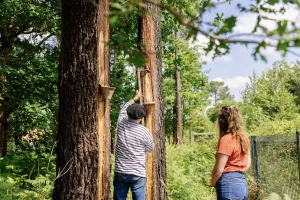 Journée découverte du Conservatoire des Landes de Gascogne