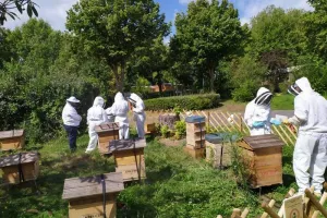 Découverte de l'apiculture à Nanterre