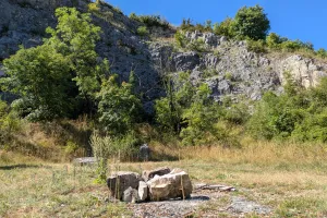 La fée des pelouses sèches vous invite dans son royaume