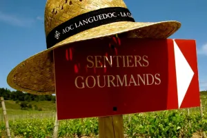 21ÈME SENTIERS GOURMANDS EN CLAPE VIGNERONNE