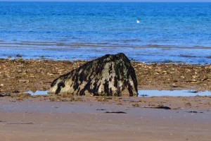 Les "gas", blocs erratiques venus d'ailleurs le long de la côte de Nacre