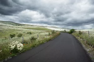EXPOSITION PHOTOS - LOZÈRE, DANS L'INTIMITÉ DE LA VIE SAUVAGE