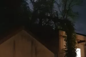 La Nuit des Musées