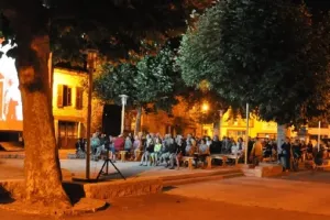 Cinéma de plein air