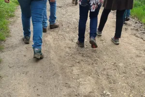 Randonnée printanière