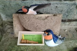 Accueillir les hirondelles