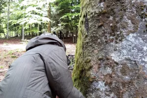 Séance de sylvothérapie : vivez votre 1er bain de forêt