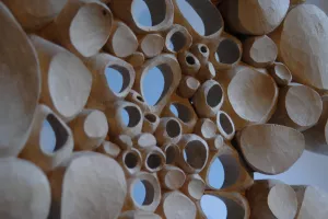 Cellules de Matière - Sculptures sur bois aux formes organiques