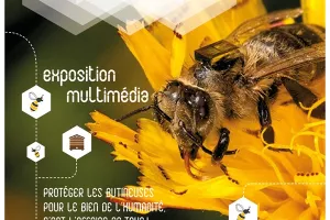 Exposition : Sauvons les abeilles