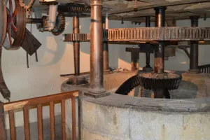 Atelier "Des engrenages à la roue : comprendre le moulin" 3-6 ans