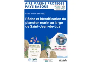Aire Marine Protégée Pays Basque - Pêche et identification du plancton marin au large de Saint-Jean-de-Luz.