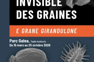 Exposition "Le monde invisible des graines - E grane girandulone"