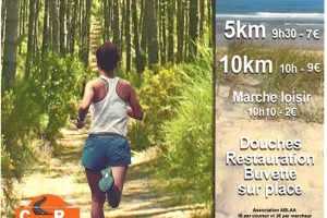 Course pédestre "de la plage aux pins"