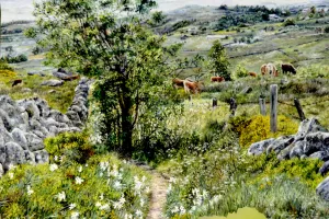 EXPO FRAGRANCES PRINTANIÈRES SUR L'AUBRAC