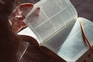Heure du conte : tell me a story/raconte moi une histoire