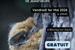 Animation nature : mystères et voix de la nuit